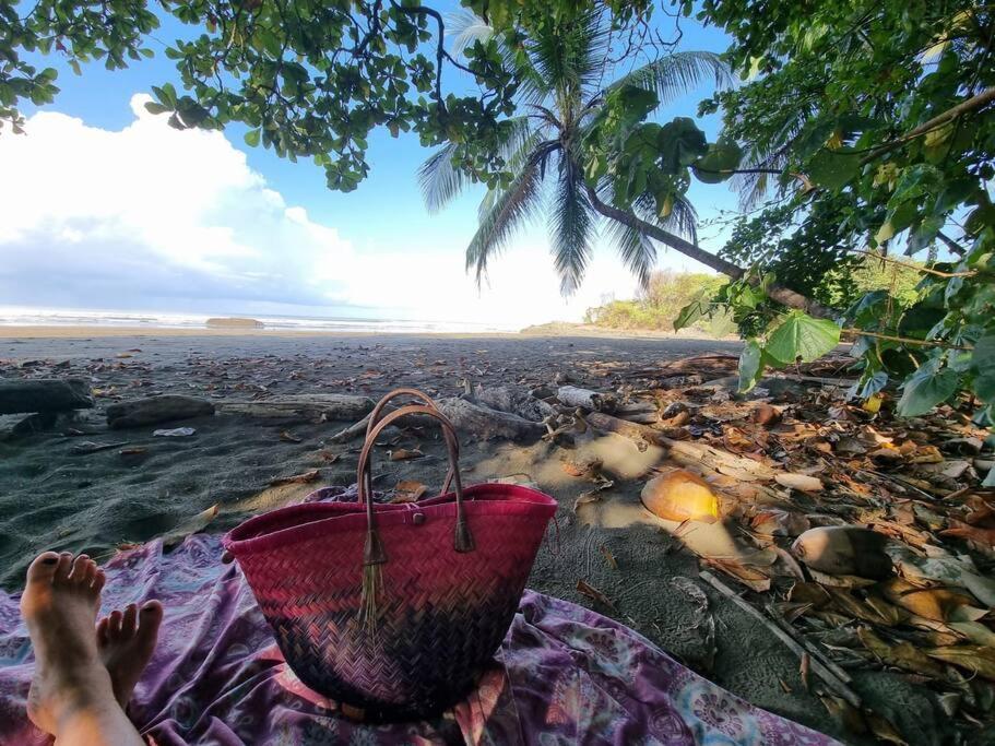 Villa Amor Del Mar With Breathtaking View Of Ocean & Jungle Dominical Exterior photo