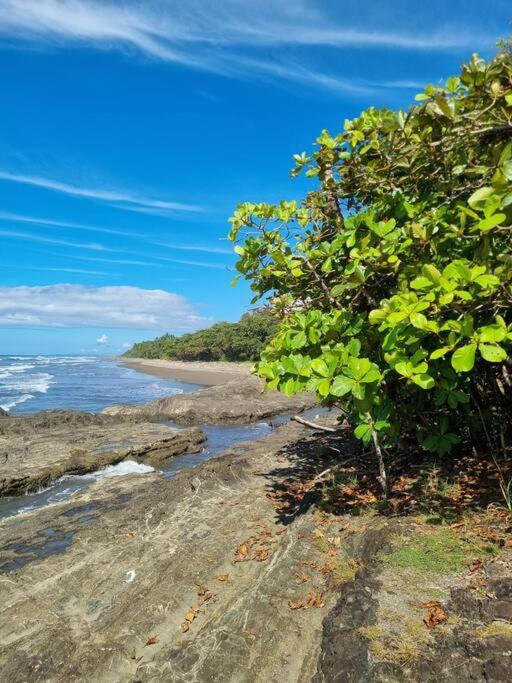 Villa Amor Del Mar With Breathtaking View Of Ocean & Jungle Dominical Exterior photo